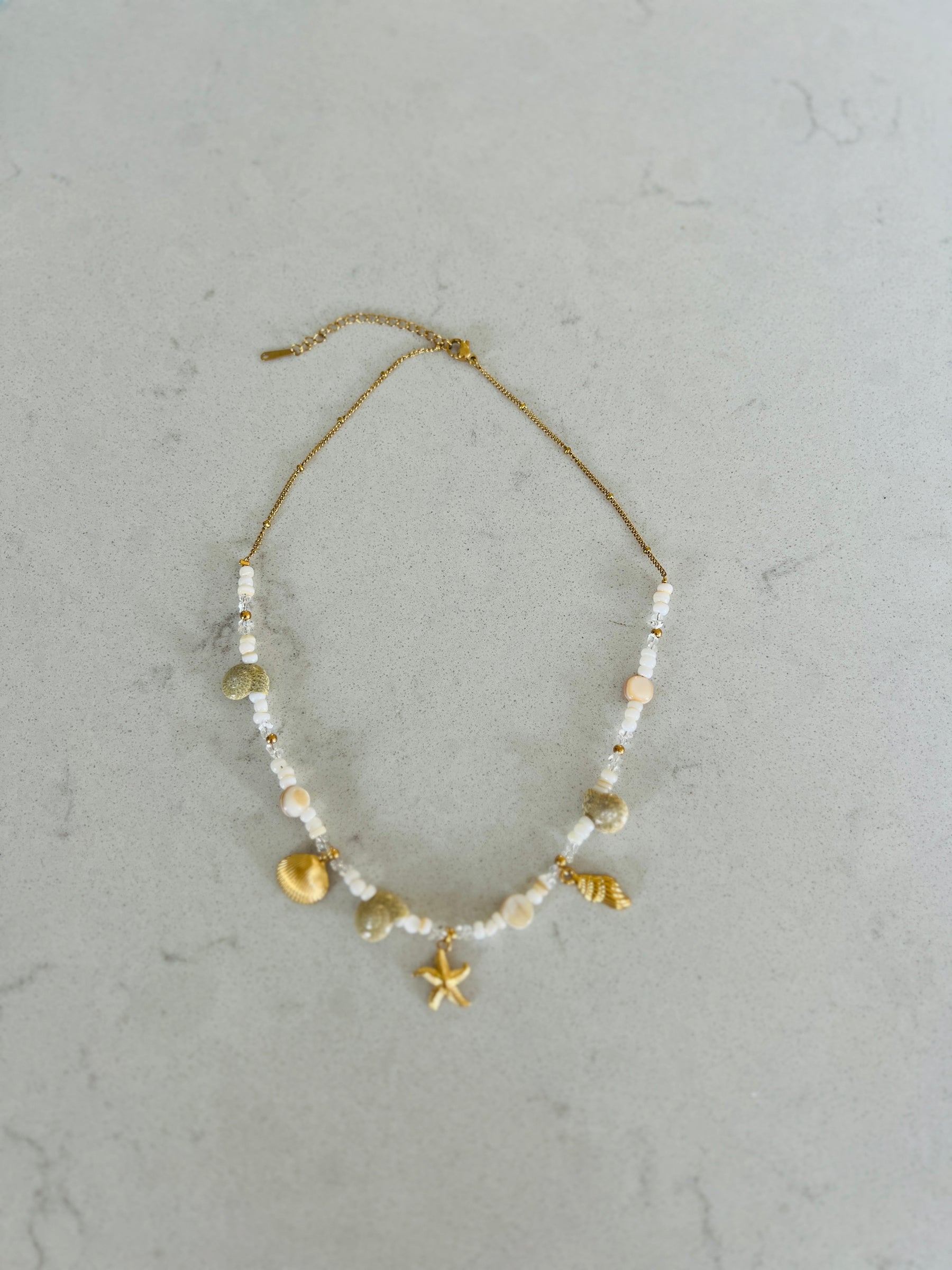 Shell Charm Necklace