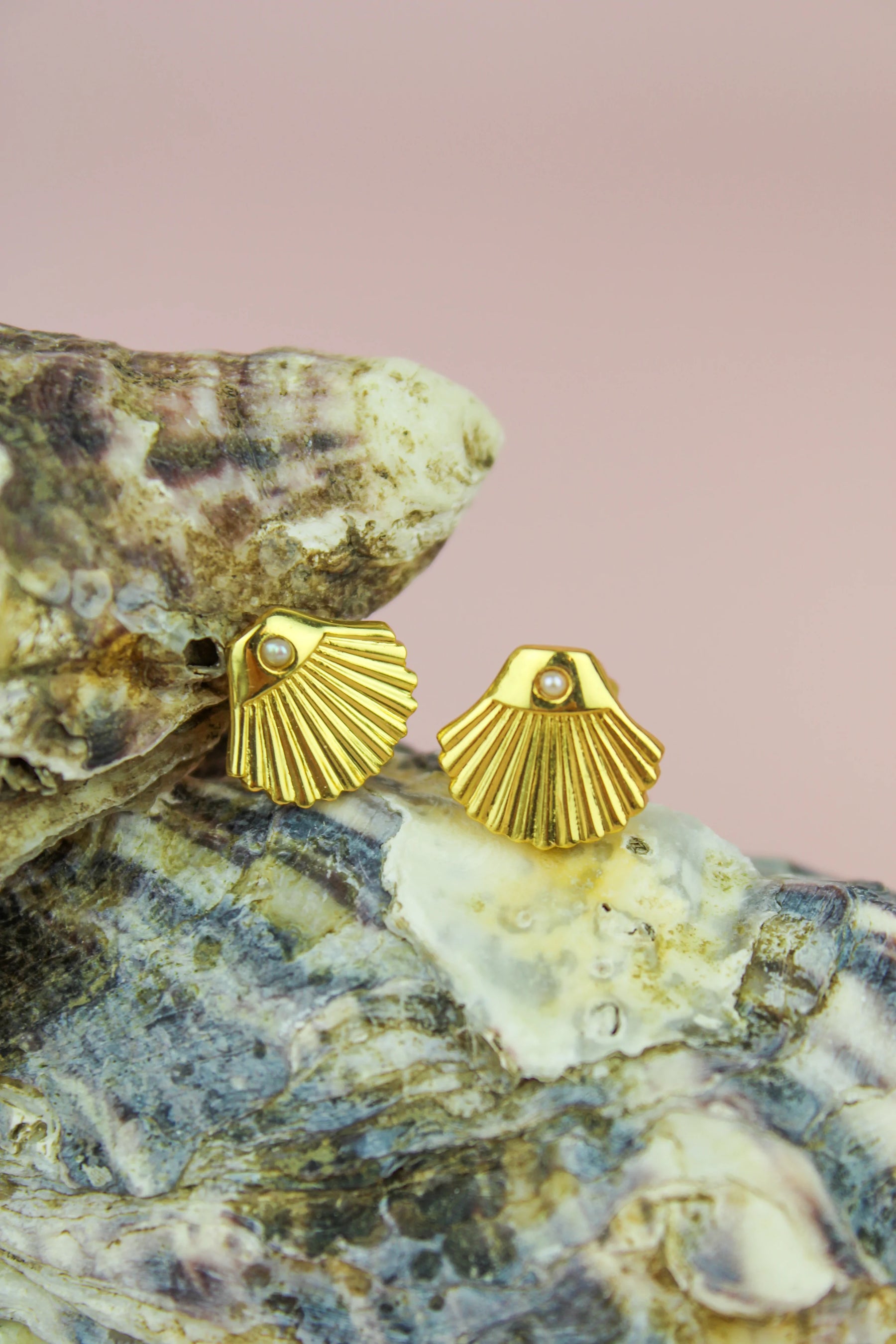 Art Deco Shell Stud Earrings