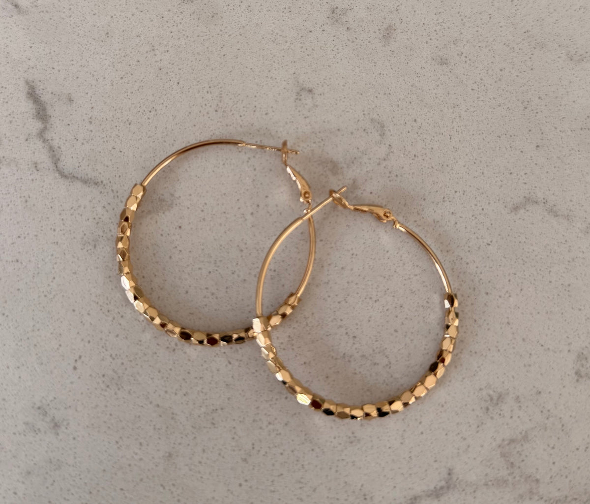 Hoop Earrings with Crystal detail