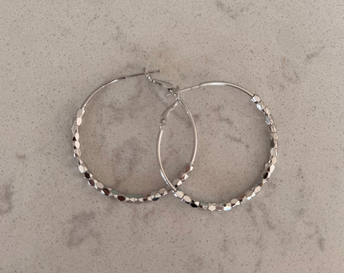 Hoop Earrings with Crystal detail